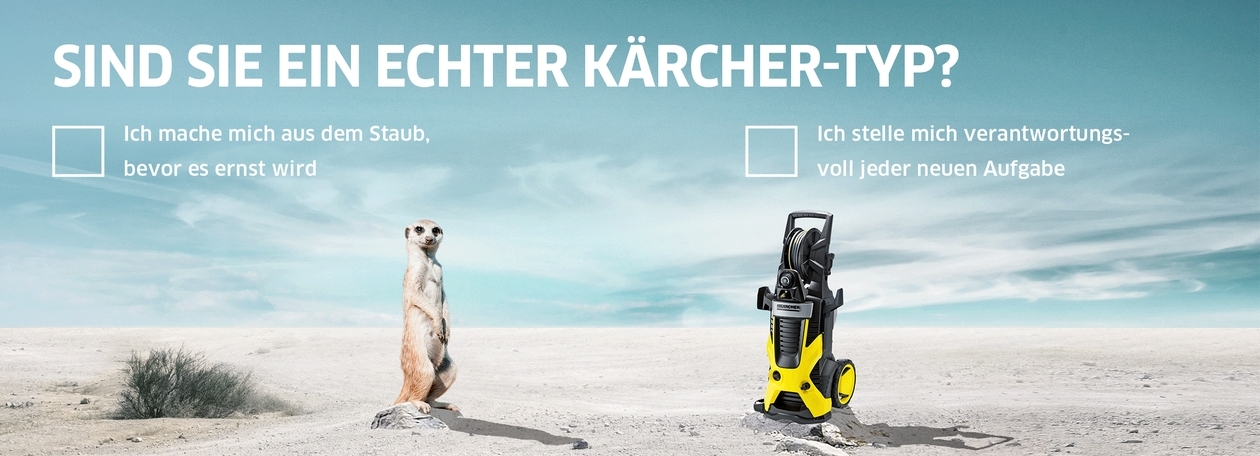 Erdmännchen