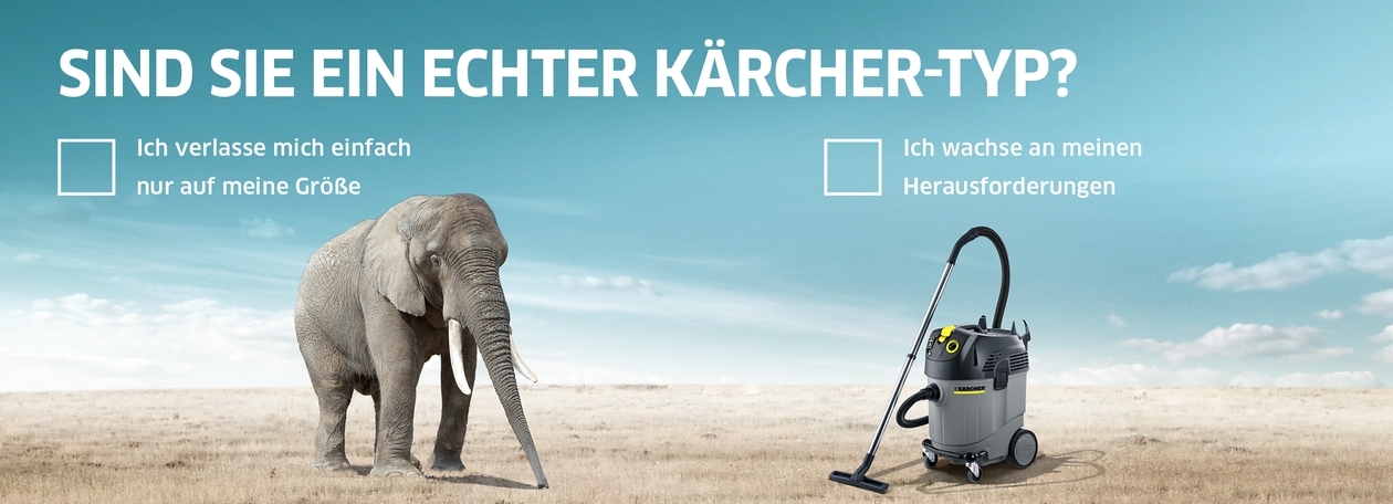 Elefant