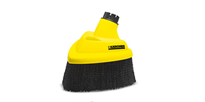 Losas_cubiertas de moho_Producto2