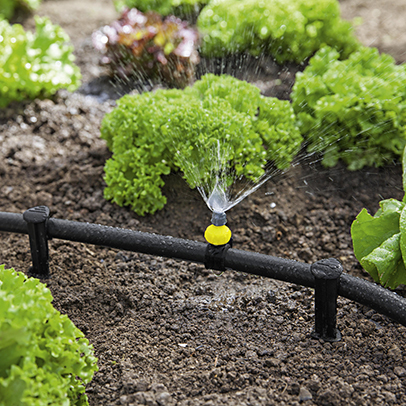 Garden watering_Content2