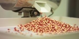 Ringler extraction systems