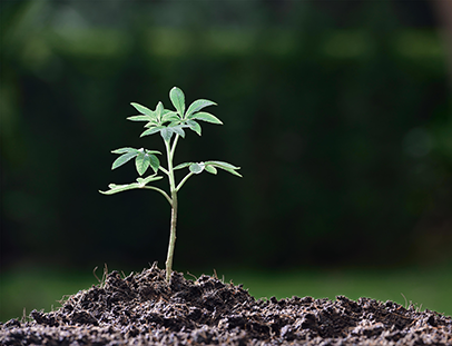 Engagement für den Klimaschutz