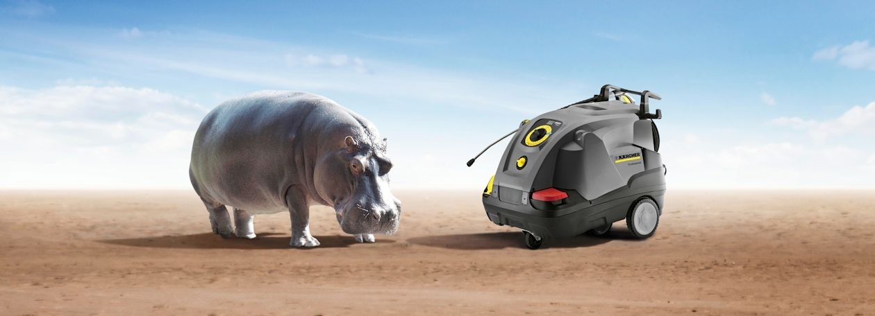 Hippo Banner