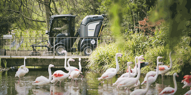 Kaercher_620x310_Flamingo