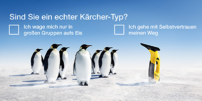 Stellenangebote