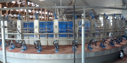 Dairy Farming