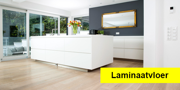 floor cleaner laminaatvloer