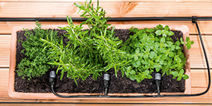 Topfbewässerung Blumenkästen Terrasse Balkon