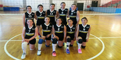 Volleyteam