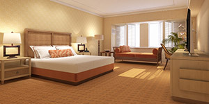 Keep guest rooms looking clean with Windsor equipment