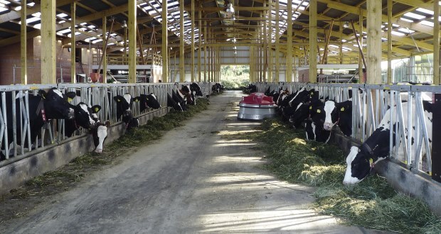 Animal pen cleaning with Karcher cleaning equipment
