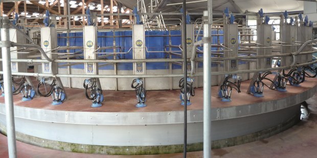 Dairy Milking Parlor