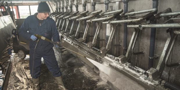 Cleaning the milking parlor with a Karcher pressure washer