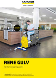 Rene Gulv August 2017 lite