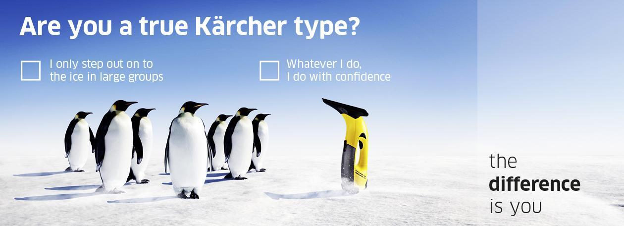 Penguins vacancies
