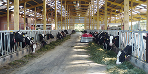 Landwirtschaft