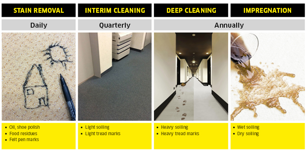 CarpetPro overview