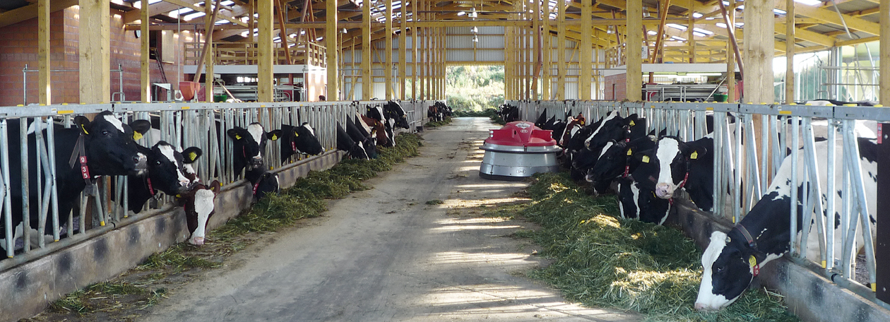 Landwirtschaft