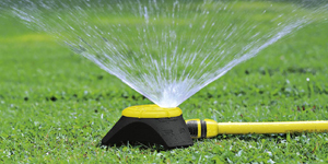 Multi-purpose surface cleaner
