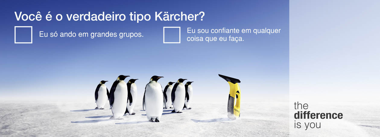 voce_e_tipo_karcher