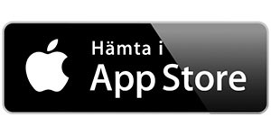 apple_store