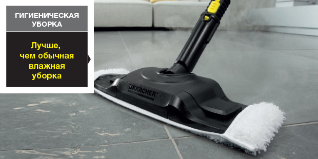 Steam cleaner luchshe