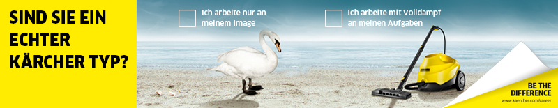 Swan