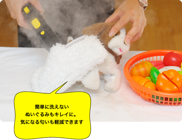 スチームクリーナー体験会レポート ケルヒャー